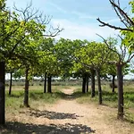 Nyaraló Family Near *