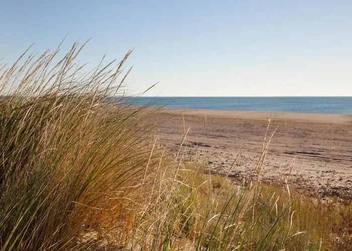 Family Near Dom wakacyjny Ravenoville