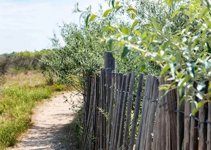 度假居 Family Near