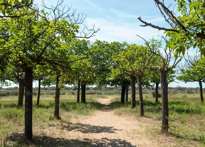 Dom wakacyjny Family Near *