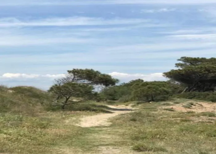 Family Near * Ravenoville